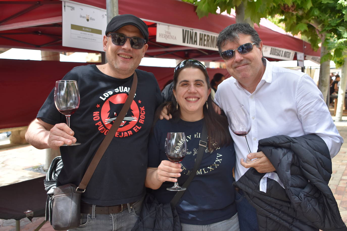 Aldeanueva acoge la XV edición de Entreviñas