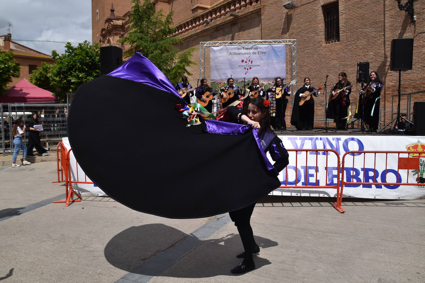 Aldeanueva acoge la XV edición de Entreviñas