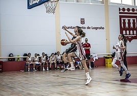 Lobete acoge la segunda jornada del Día del Mini