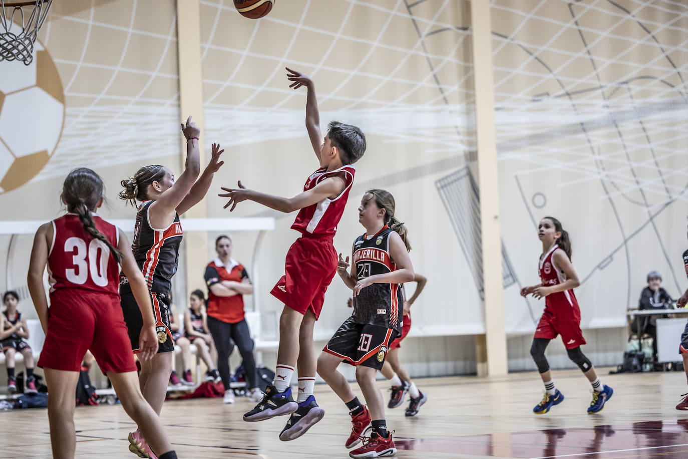 Primera jornada del Día del Mini en Lobete