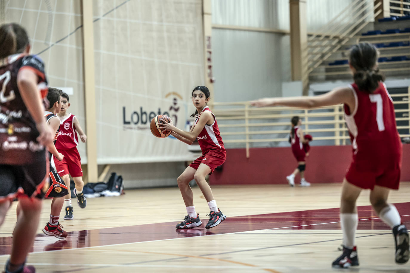 Primera jornada del Día del Mini en Lobete