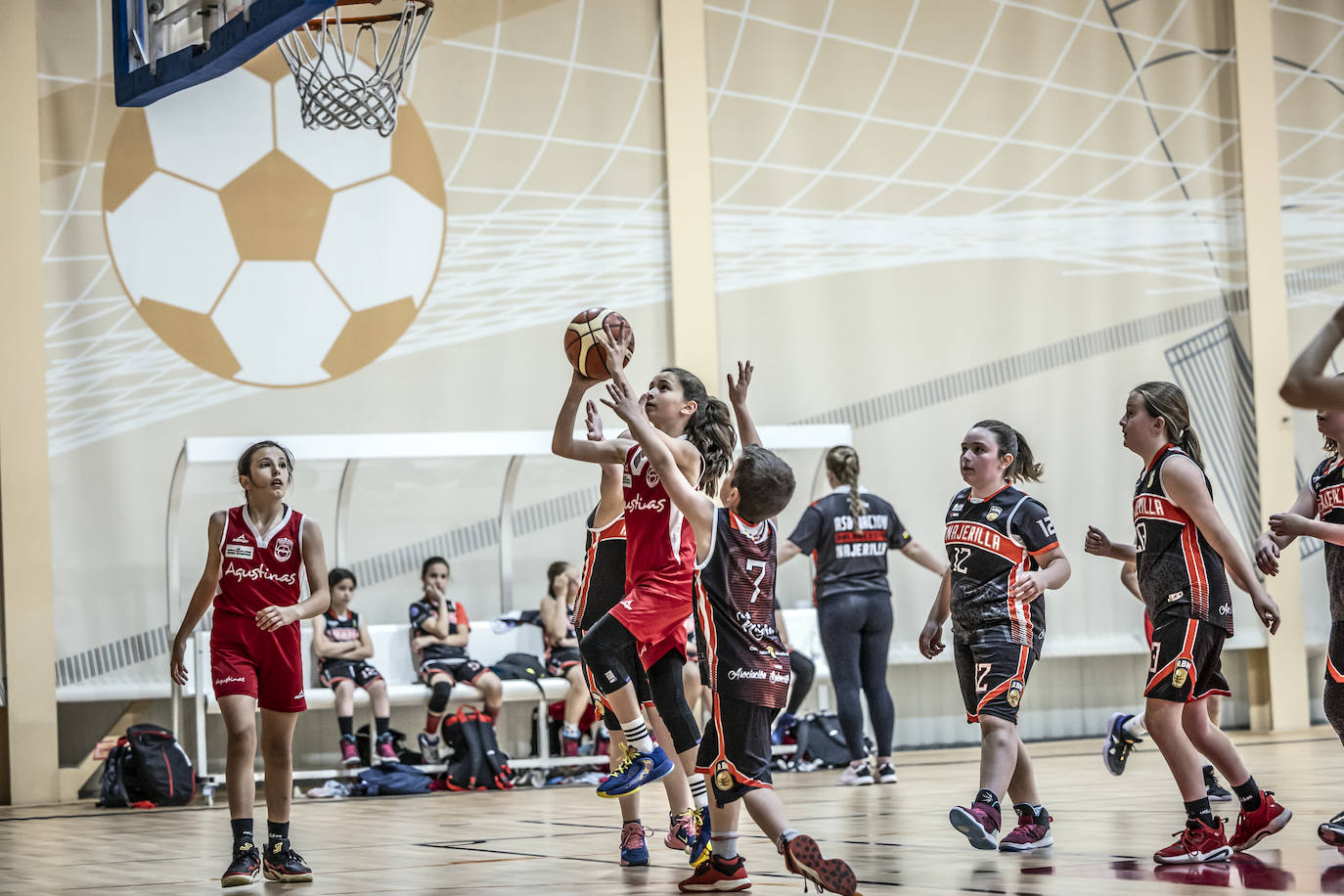 Primera jornada del Día del Mini en Lobete