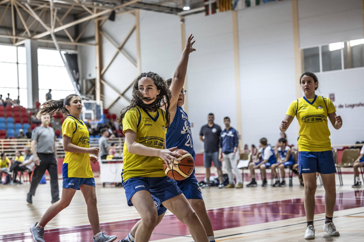 Primera jornada del Día del Mini en Lobete