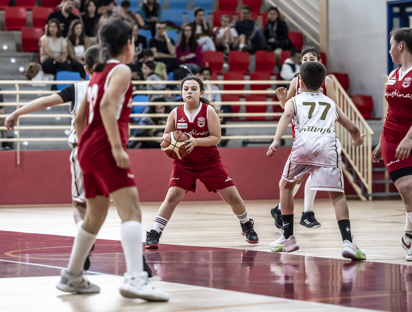 Primera jornada del Día del Mini en Lobete