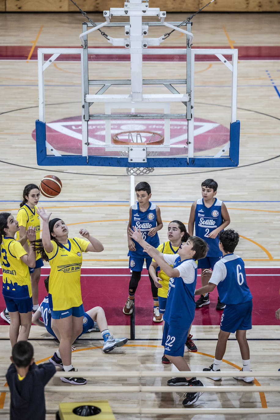 Primera jornada del Día del Mini en Lobete