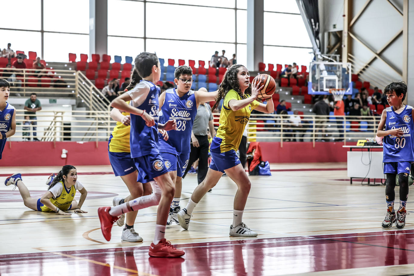 Primera jornada del Día del Mini en Lobete