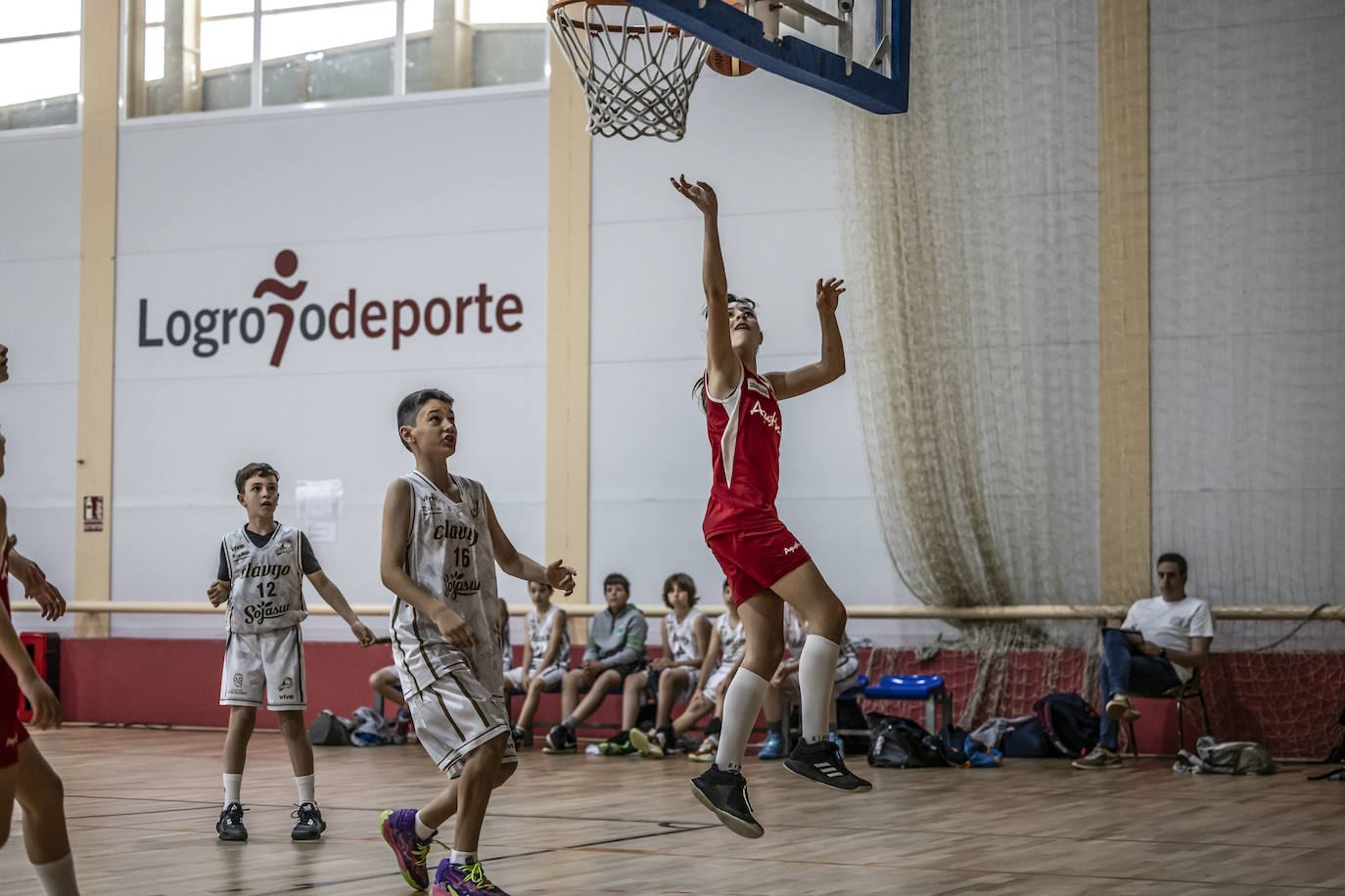 Primera jornada del Día del Mini en Lobete