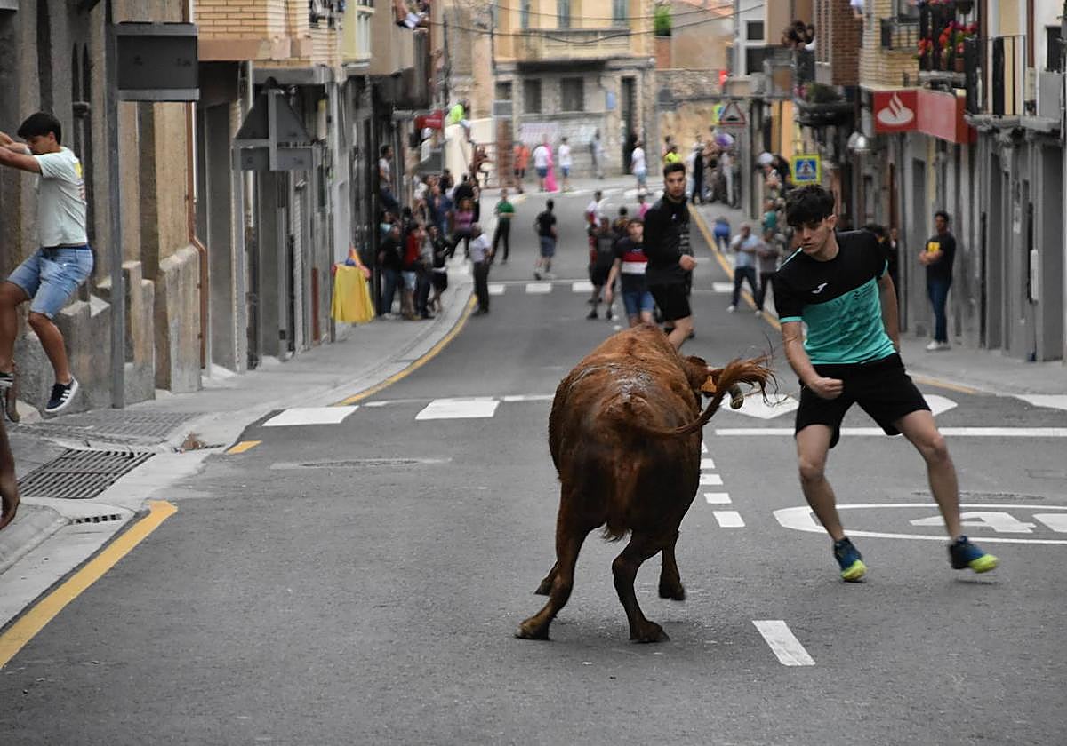 Fin de semana de actos culturales, deportivos y gastronómicos en Cervera