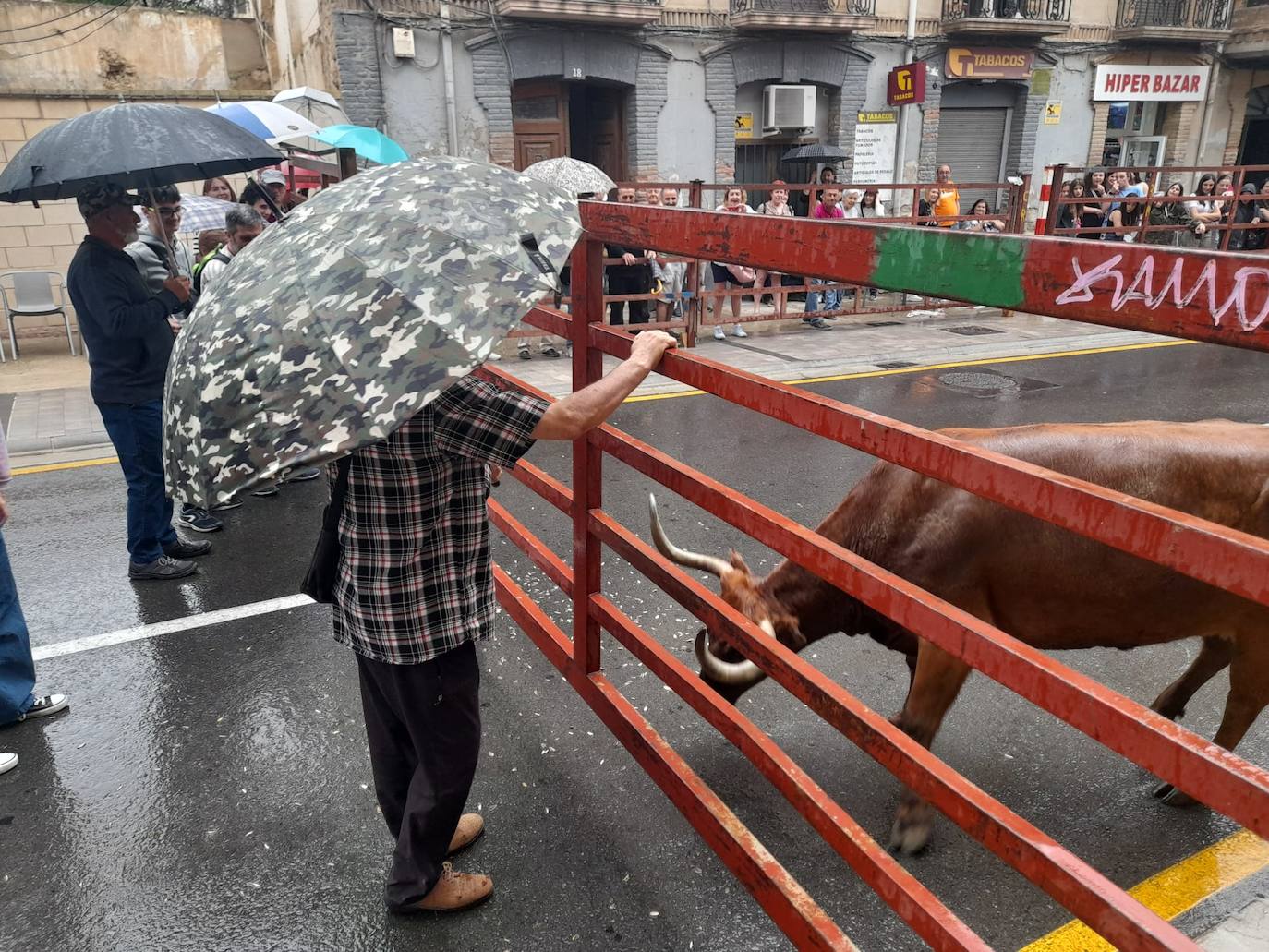 Fin de semana de actos culturales, deportivos y gastronómicos en Cervera