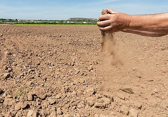 Un agricultor riojano muestra la escasez de agua de sus campos.