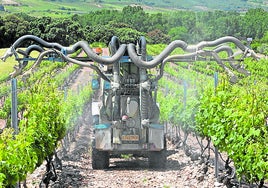 Tratamiento contra el mildiu en un viñedo de La Rioja Alta