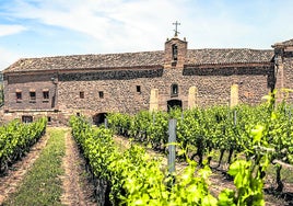 Laboreo de campo en un viñedo de Alesanco, junto a la ermita de la Virgen del Prado.