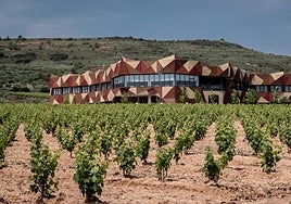 Vista general de la bodega.