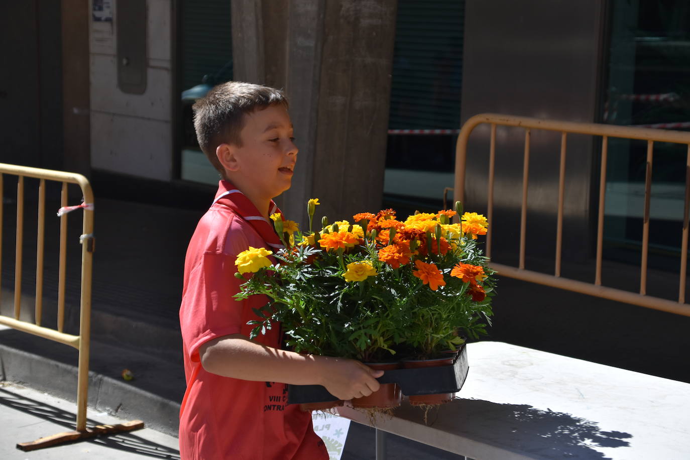Deporte en la calle y VIII carrera a favor de la AECC en Autol