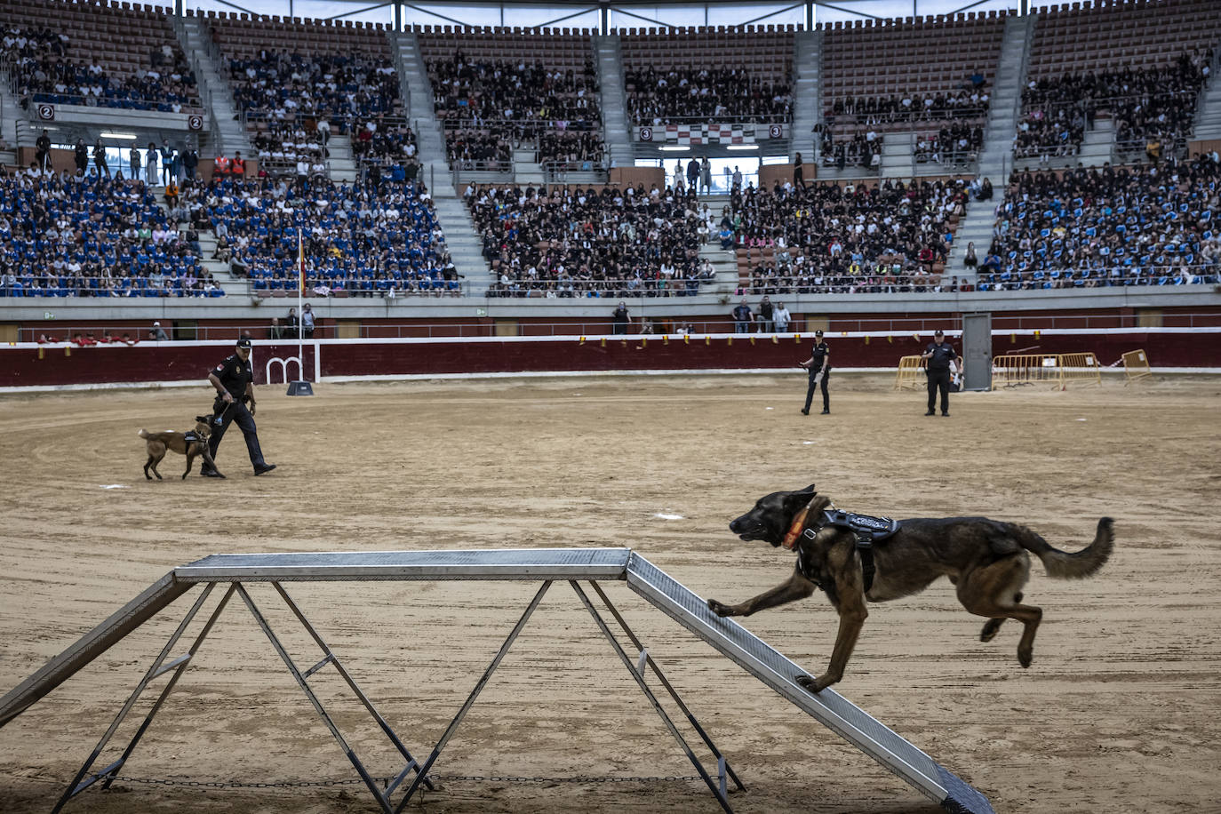 Exhibición de la Policía Nacional para niños en La Ribera