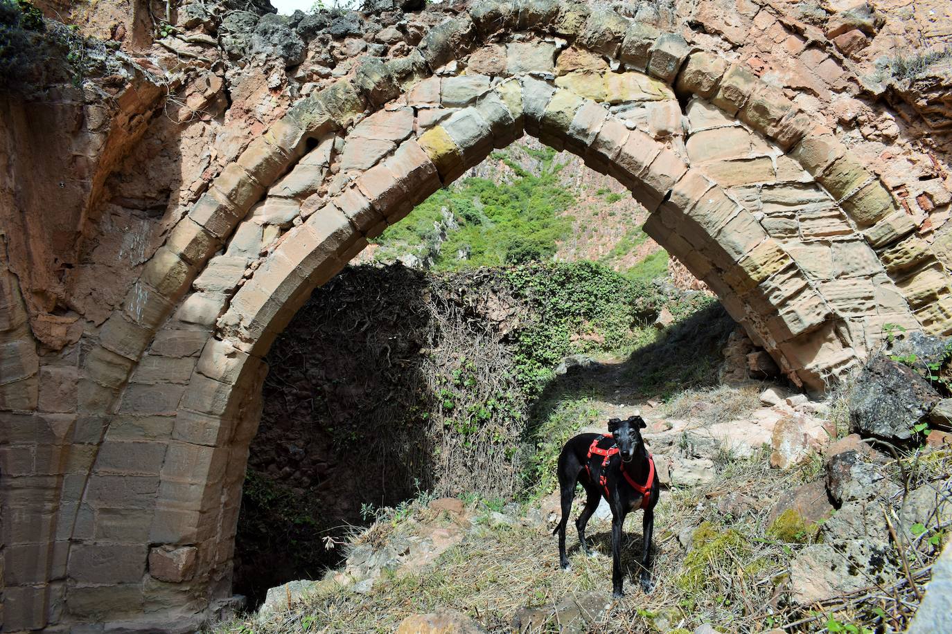 San Prudencio luce desbrozado