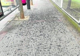 Una acera cada día más morada en Logroño, hoy en La Guindilla