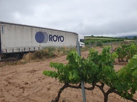Un trailer se queda atrapado en un camino entre Alfaro y Aldeanueva de Ebro