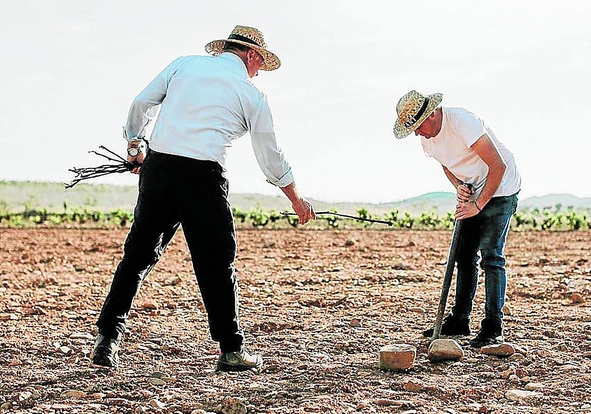 Imagen principal - Plantando en tiempo de arranques