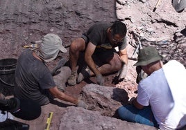 Un metatarso de espinosáurido, este jueves durante el proceso de extracción.