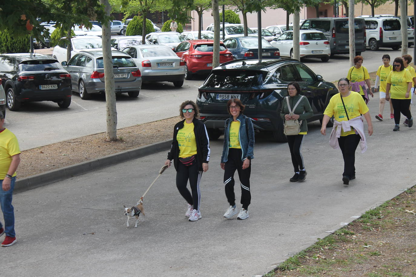 Las imágenes de la marcha solidaria contra el cáncer en Nájera