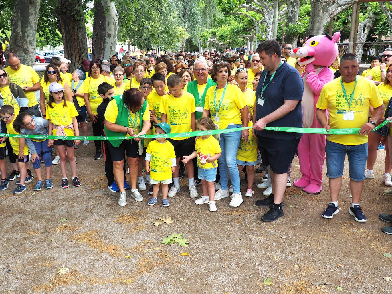 Las imágenes de la marcha solidaria contra el cáncer en Nájera