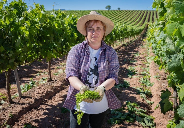 Pilar Martínez muestra un racimo de uva tempranillo recién arrancado del viñedo para tirarlo en su finca de Canillas de Río Tuerto.