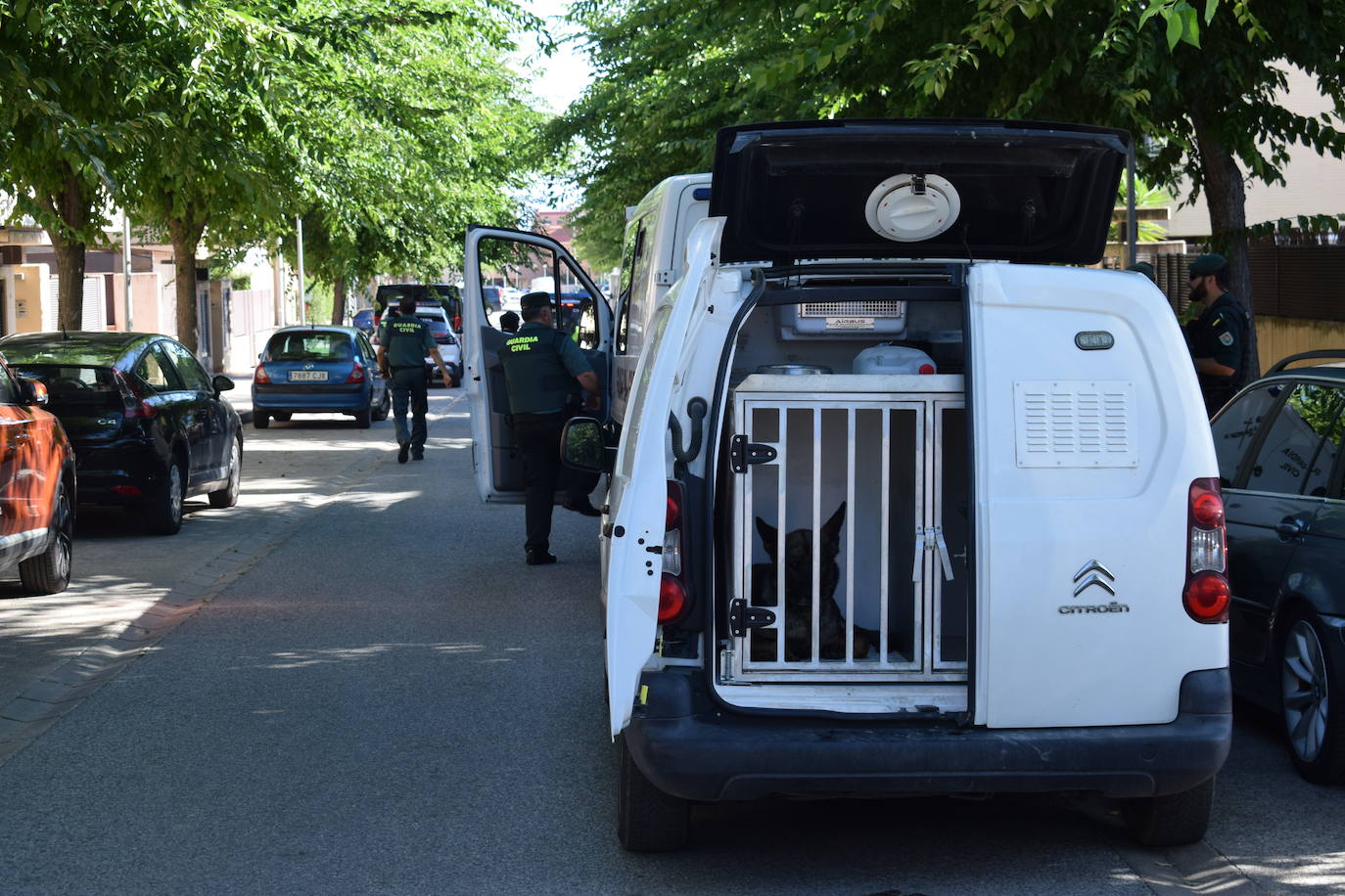 Actuación de la Guardia Civil y la Policía Nacional en Lardero.