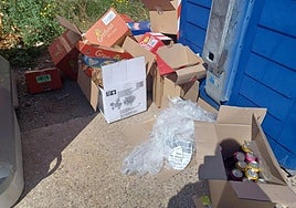 Cajas de cartón y latas de refrescos abandonadas en la avenida de San Pedro el pasado martes.