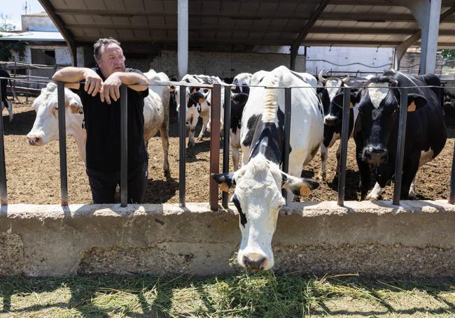 Francisco Javier Gil, con 70 vacas a su cargo, no tiene empleados.