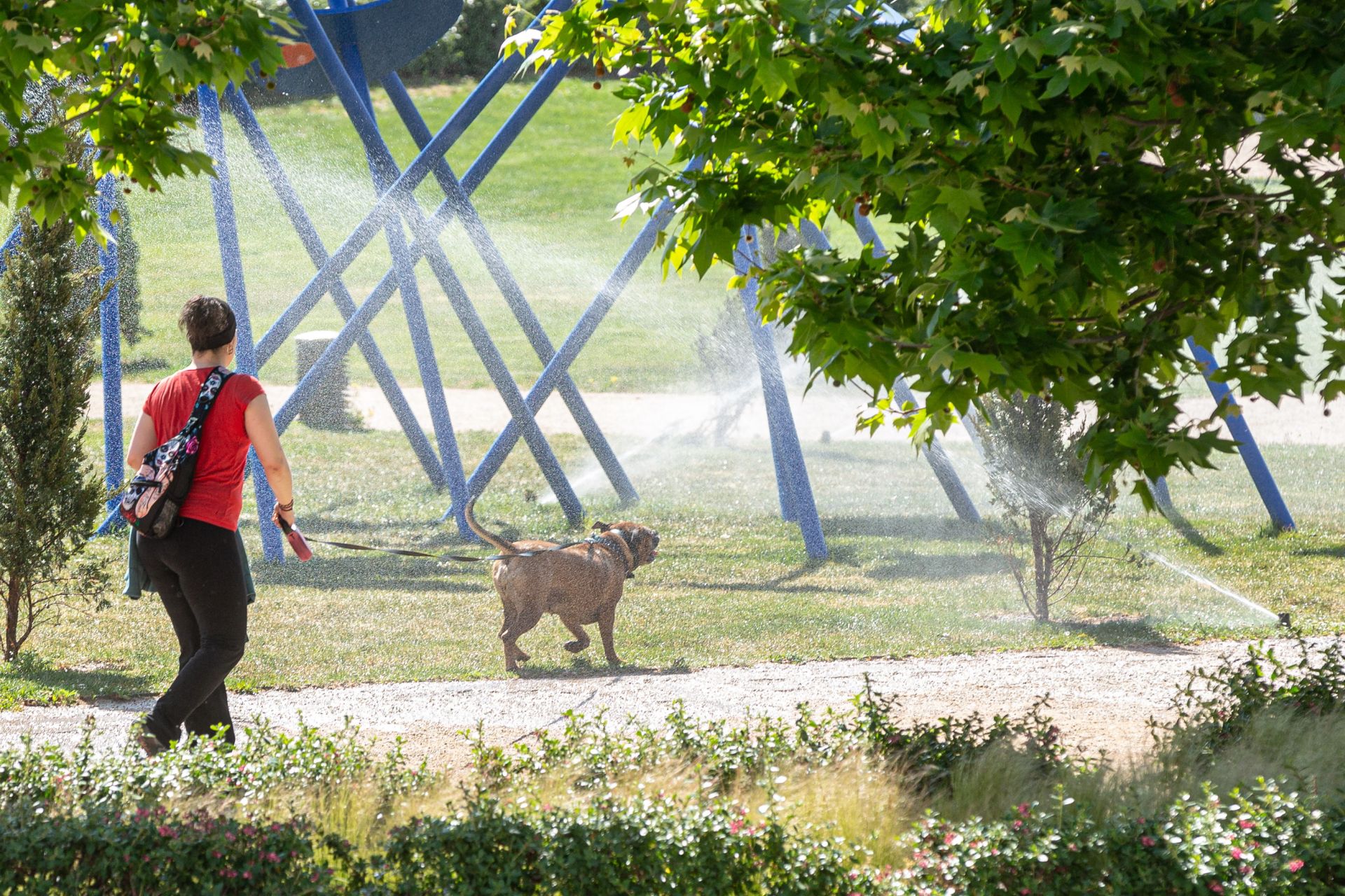 Aspersores en funcionamiento en el parque Felipe VI de Logroño.