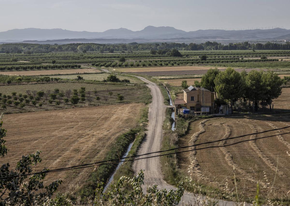 Imagen secundaria 1 - Arriba, los actuales hospitaleros de Alfaro, Marilu y Lionel, se encargan de recibir a los peregrinos. En las otras imágenes, viñedos y los frutales caracterizan el paisaje en Arrúbal y las obras han modificado parte del tramo entre Alfaro y Rincón. 