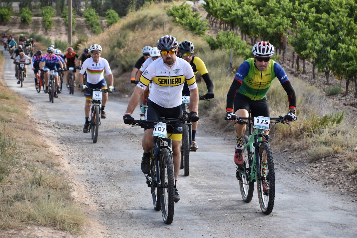 Búscate en la BTT La Pera