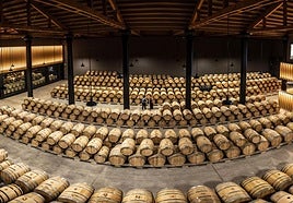 Sala de barricas de roble francés en Marqués de Vargas;