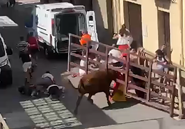 La vaca, enganchada al vallado, va contra la gente.