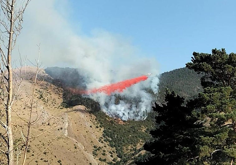 Un incendio arrasa ocho hectáreas en un monte del entorno de Canales