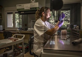 Beatriz de la Hera, analista de laboratorio, trabaja con unas muestras en las instalaciones de La Grajera.