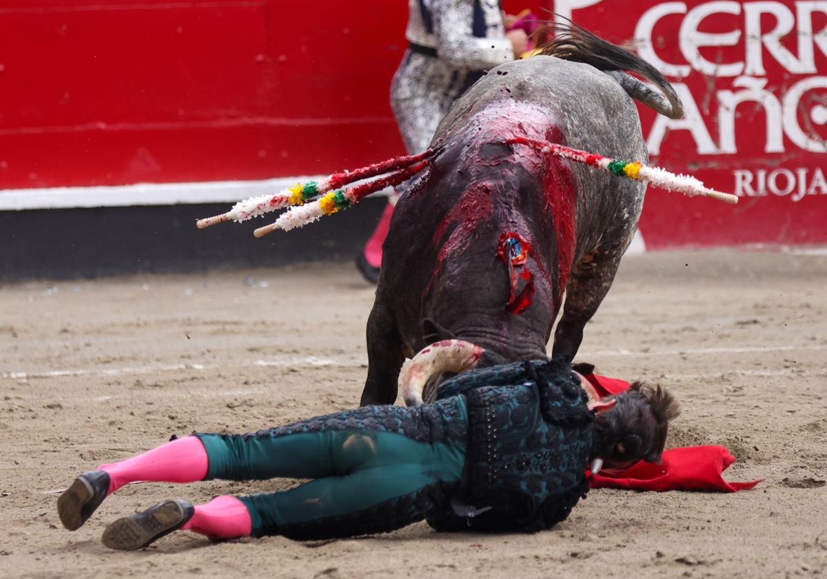 Diego Urdiales, en el suelo, tras ser volteado por el toro en Azpeitia.