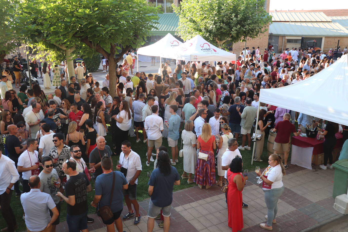 Búscate en la XIII Bodegas en la Calle
