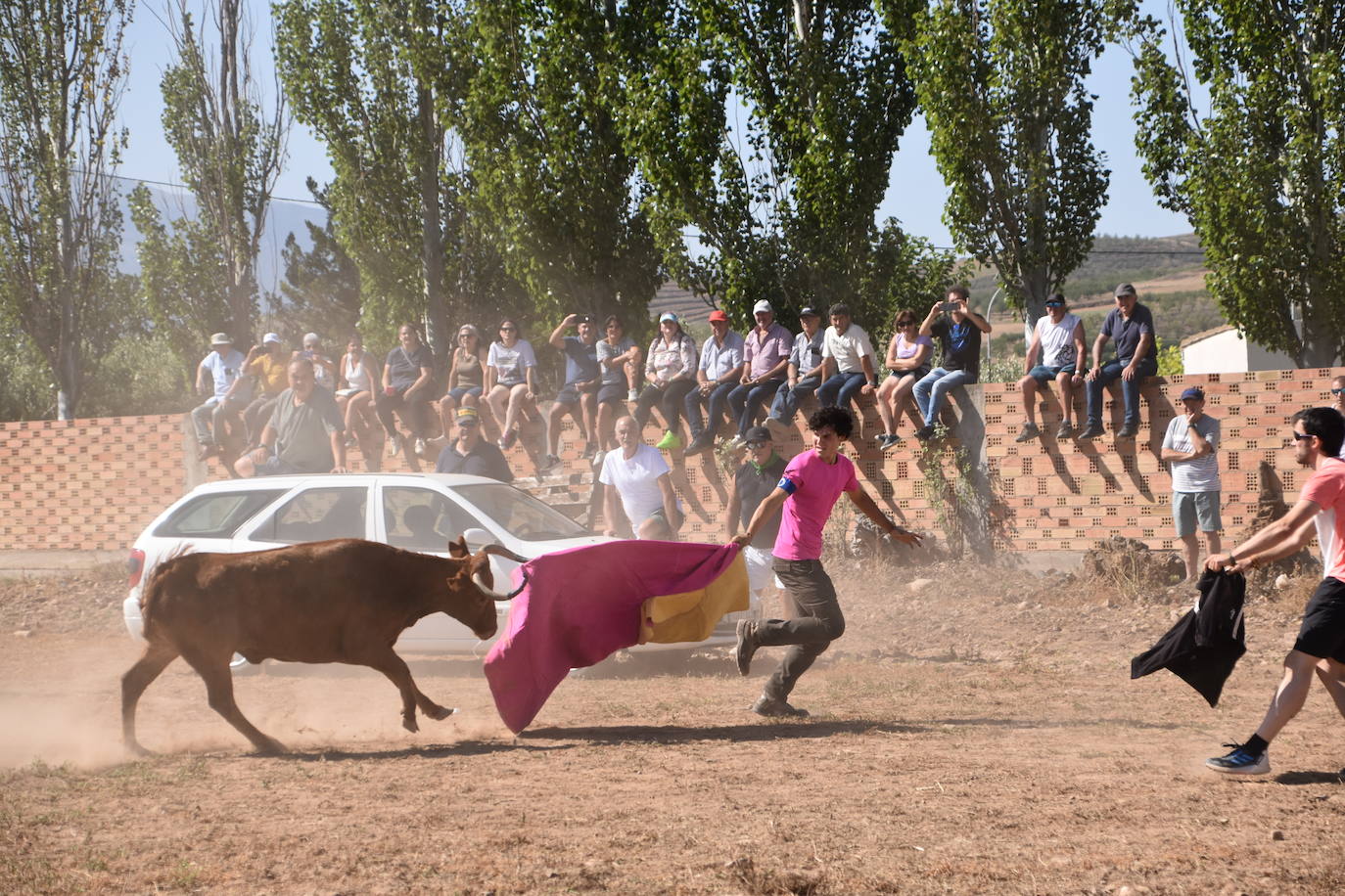 La saca de vacas de Valverde, en imágenes