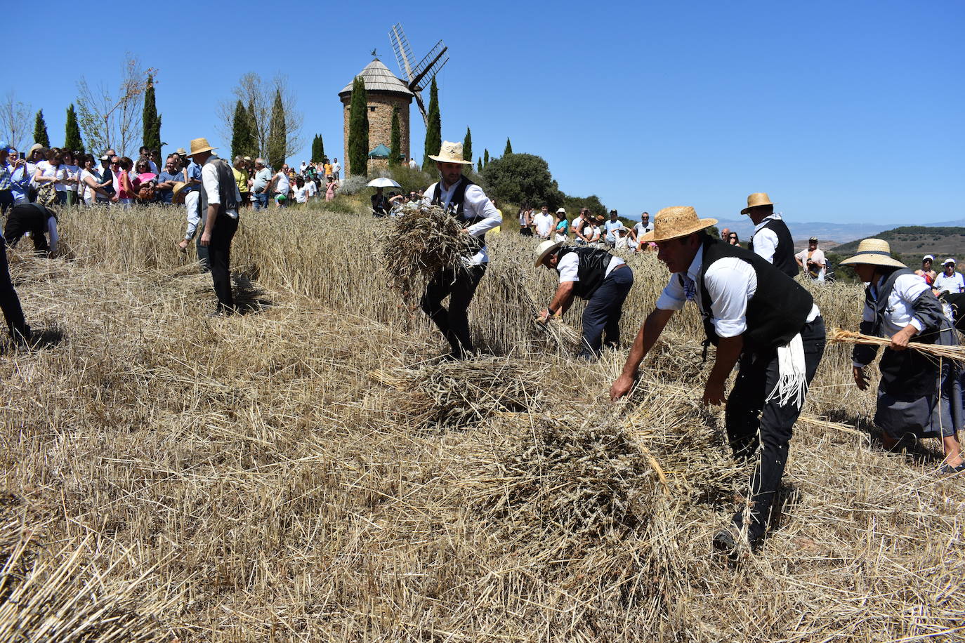 La Fiesta de la Molienda, en imágenes