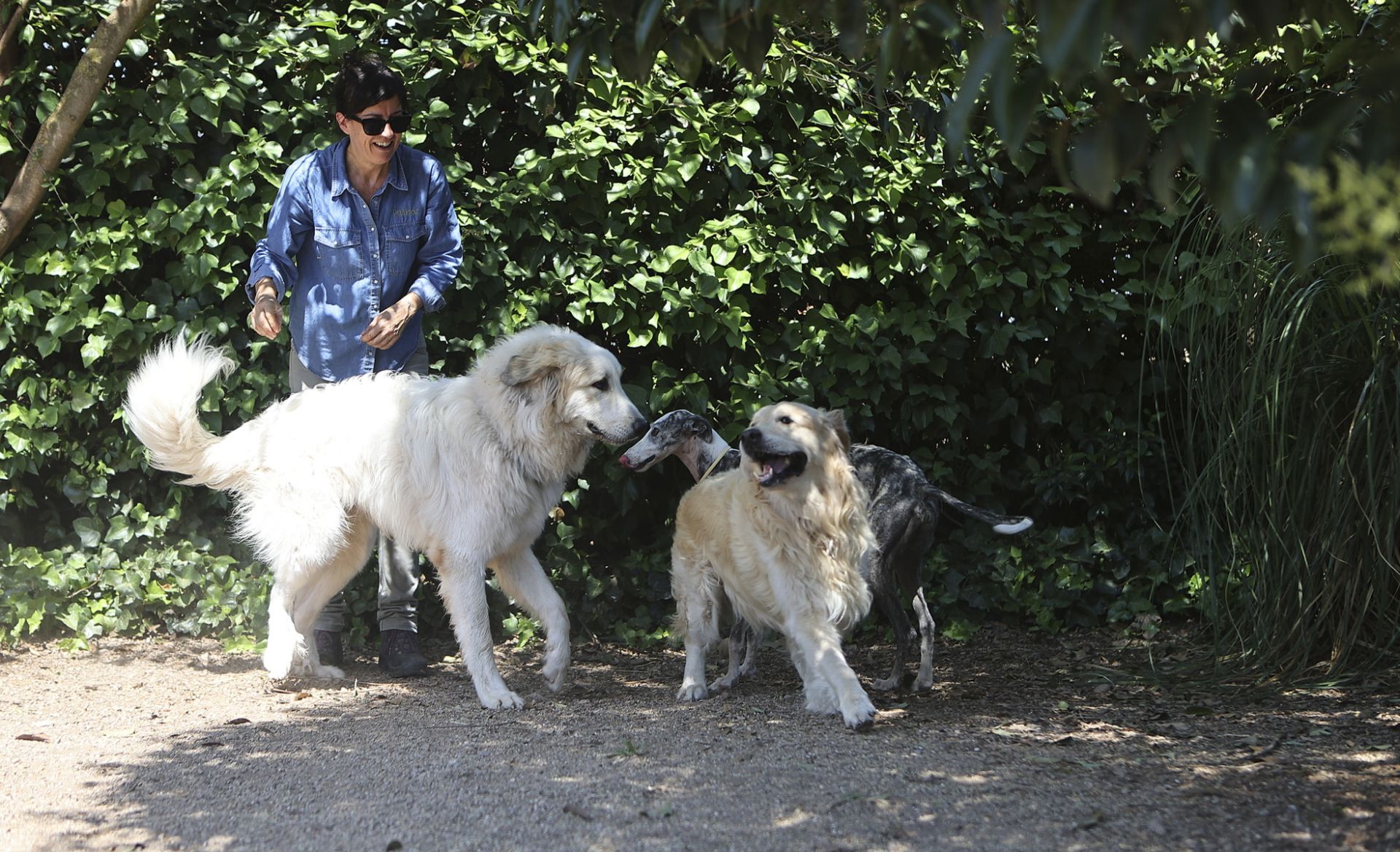 Blanca Segura juega con unos perros en la residencia Peludos.