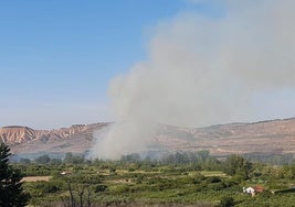 Foto tomada desde la parte trasera del cementerio de Autol. Entre el cementerio y la fábrica de Conservas Cidacos