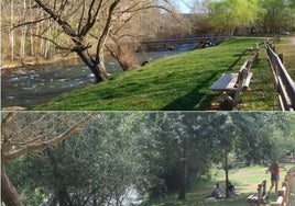 Arriba, la ribera en otoño de hace unos años; abajo, estado actual.