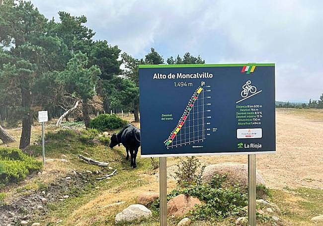 El cartel de la cima.