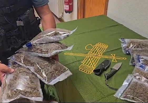 Detenido un joven en Alfaro por transportar cogollos de marihuana