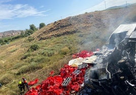 Estado del vehículo siniestrado en la A-12 este sábado.