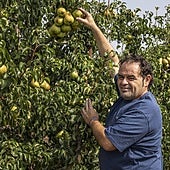 «El cambio climático ha afectado a los árboles»