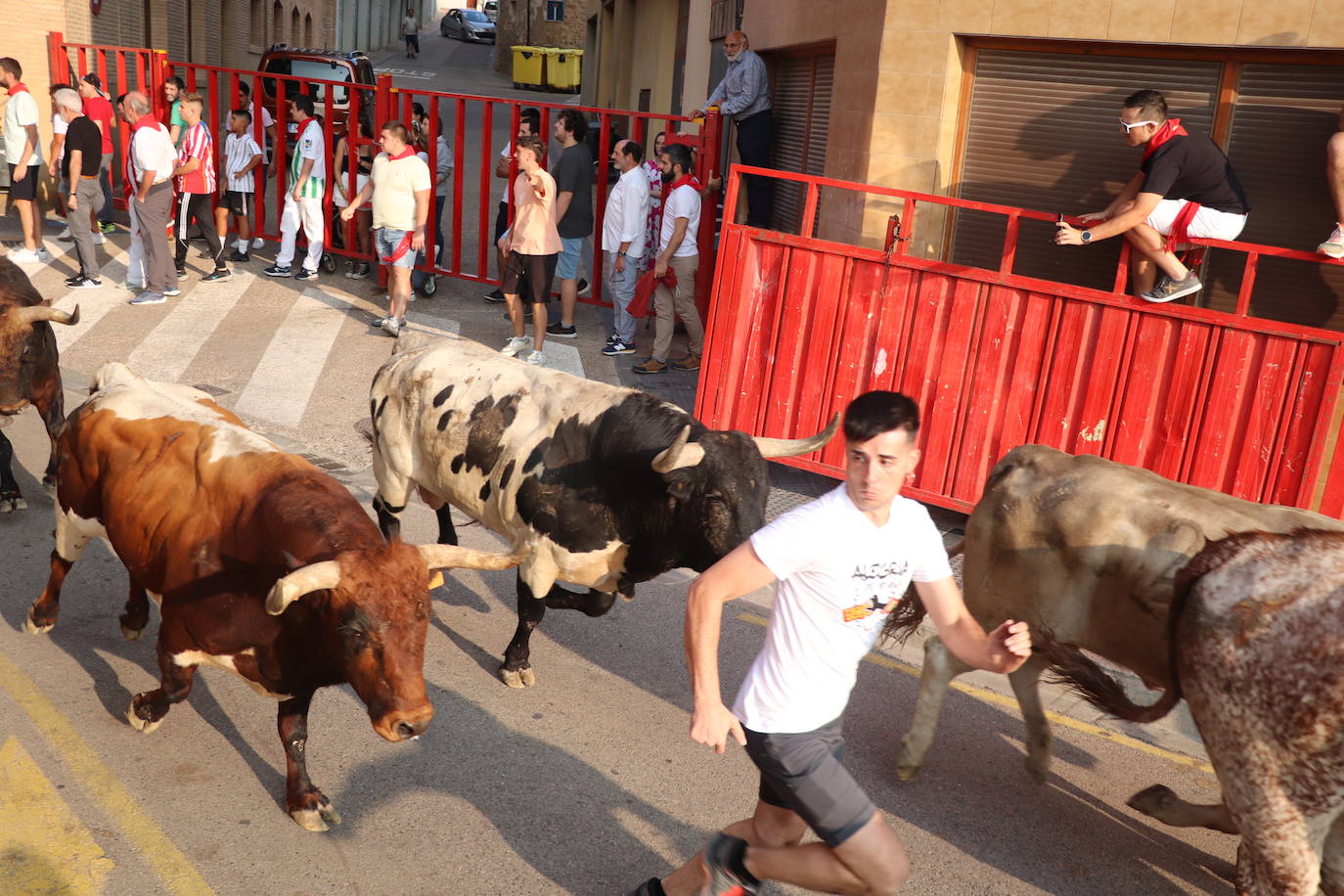 Alfaro se despide de sus fiestas