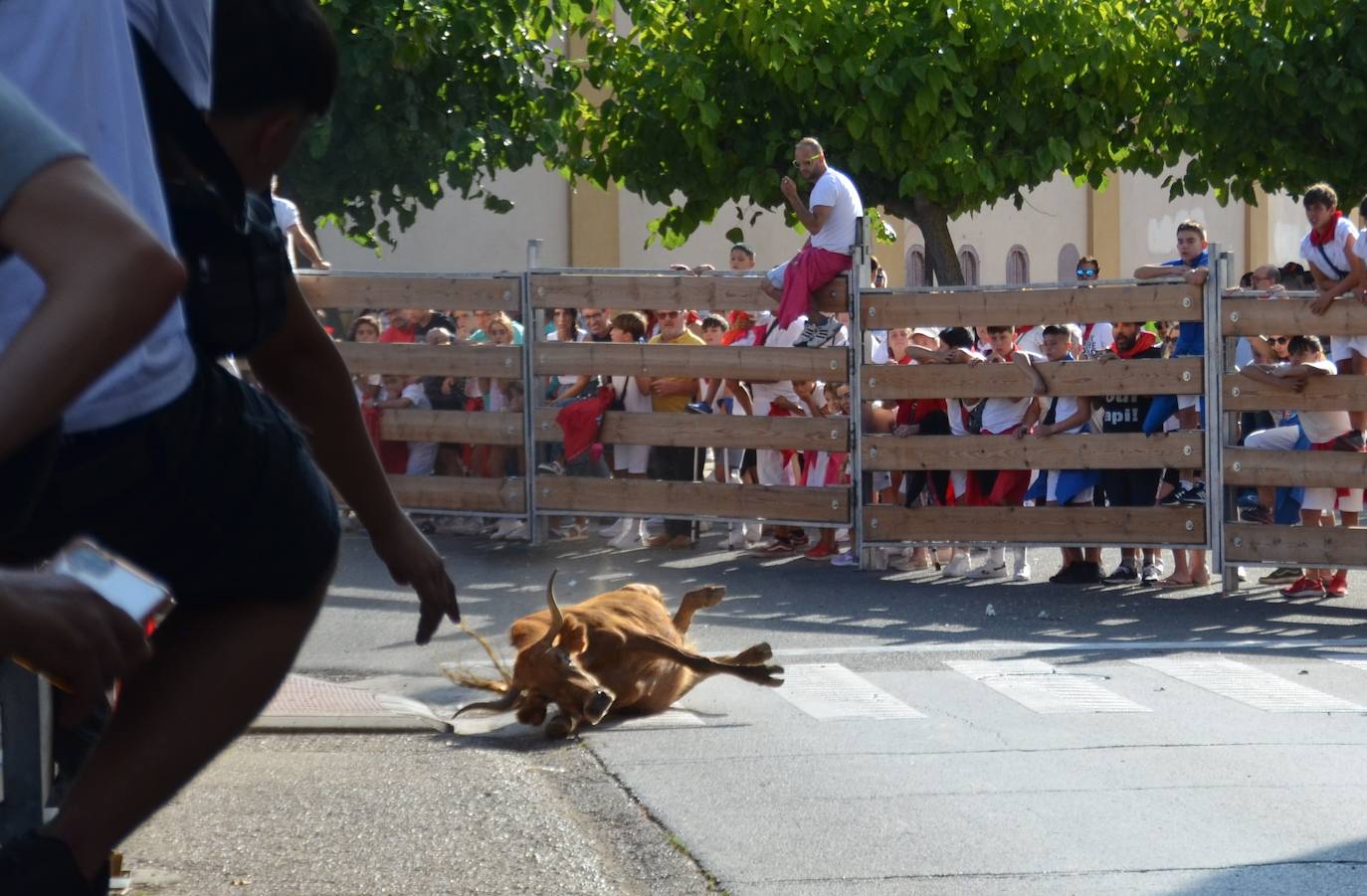 Las mejores fotos de encierro del domingo